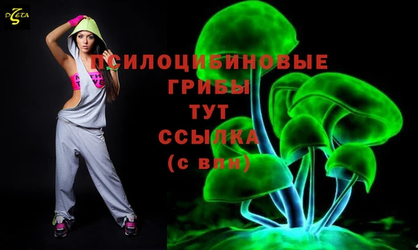 круглые Иннополис