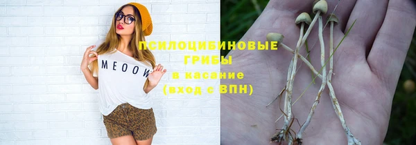 гашиш Каменка