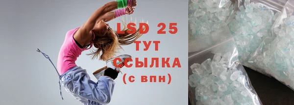 сатива Инсар