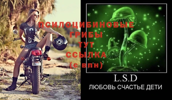 spice Киренск