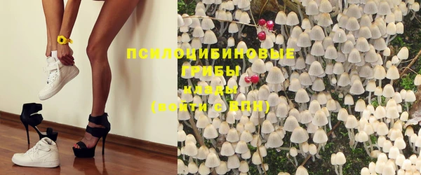 мет Инта