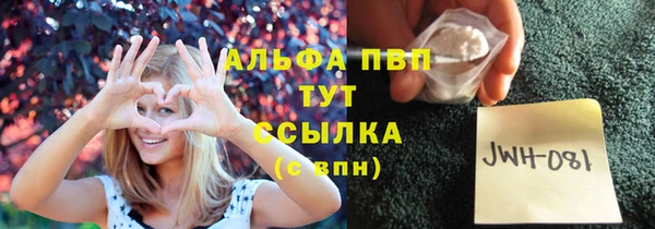 сатива Инсар