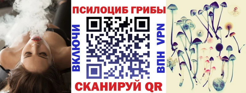 Купить закладки  Каргат  Галлюциногенные грибы Psilocybine cubensis 
